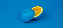 animated-img-02